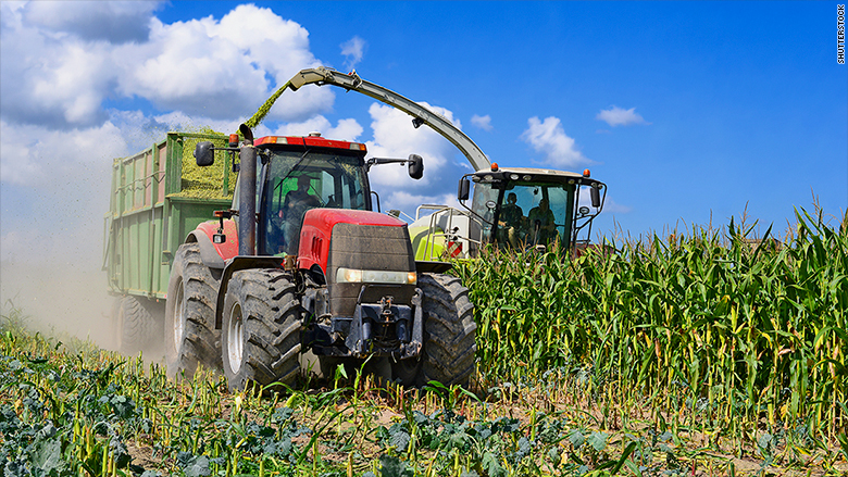 Mexico ready to retaliate by hurting American corn farmers