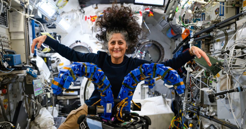 NASA astronaut Suni Williams shares her Thanksgiving plans in space