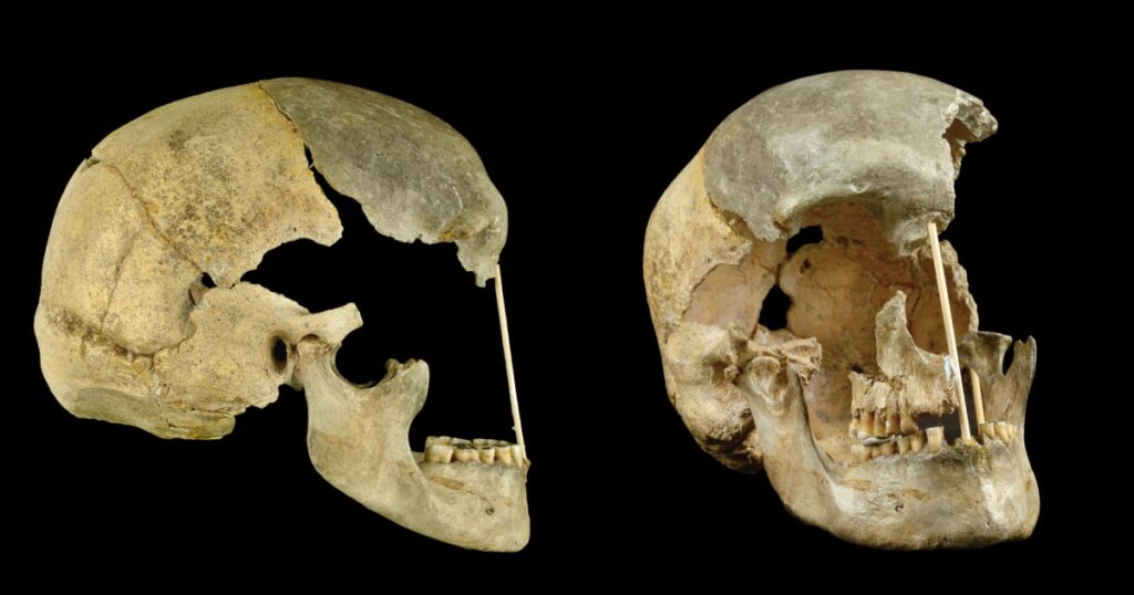 A new timeline of when Neanderthals and ancient humans interbred