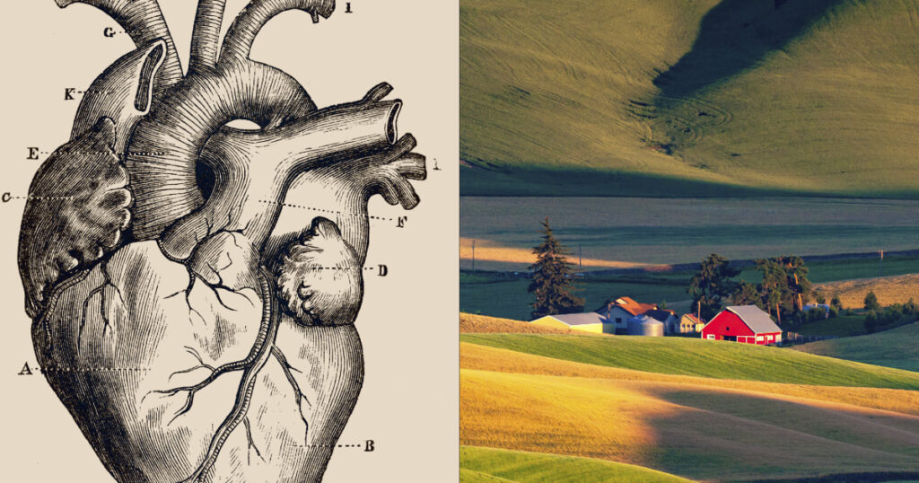 Heart disease deaths soar in rural America, driven by rise in working-age adults